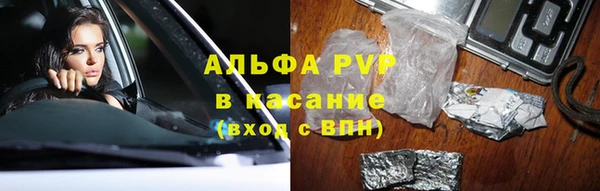 ГАЛЛЮЦИНОГЕННЫЕ ГРИБЫ Баксан