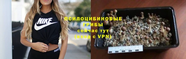 мескалин Арсеньев