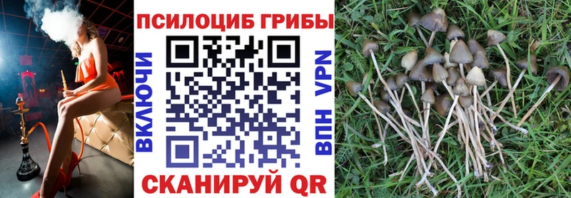 Галлюциногенные грибы MAGIC MUSHROOMS  Голицыно 